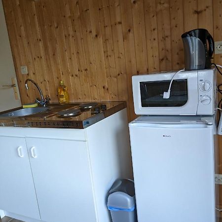 Au Petit Chalet D'Illiers Combray - Salle D'Eau Uniquement 외부 사진