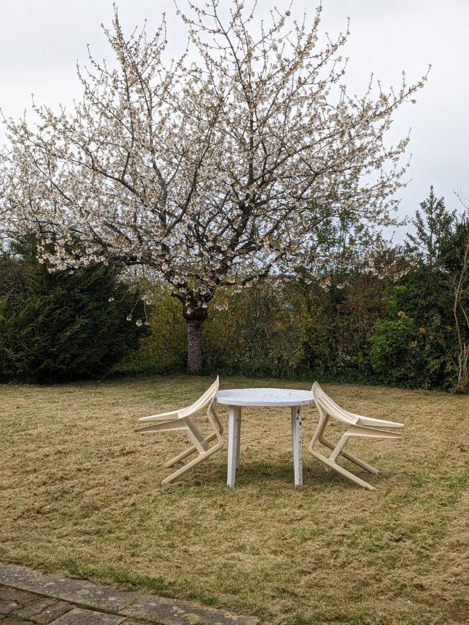 Au Petit Chalet D'Illiers Combray - Salle D'Eau Uniquement 외부 사진